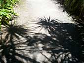 Are you looking up, down or sideways at your problesm?